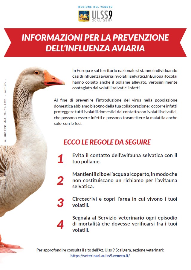 INFLUENZA AVIARIA