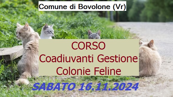 Corso sulla gestione delle Colonie Feline
